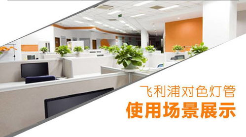 飞利浦tl d 90印刷机灯管d65标准光源对色灯管36w 965