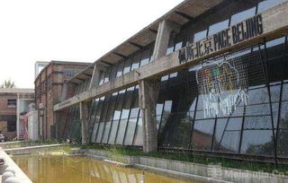 佩斯画廊撤离798 当代艺术困局凸显